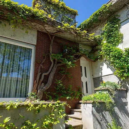 Cosy In South Alsace For Work And Leisure *