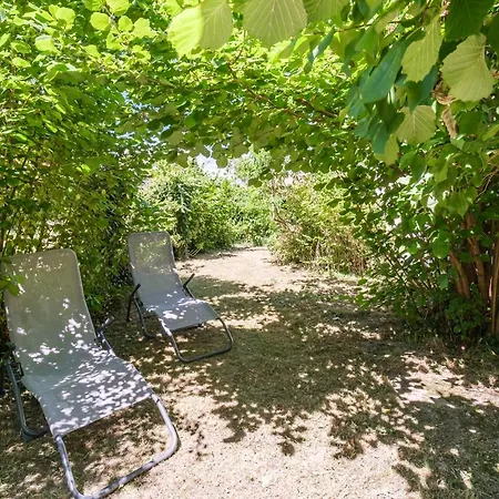 Cosy In South Alsace For Work And Leisure *