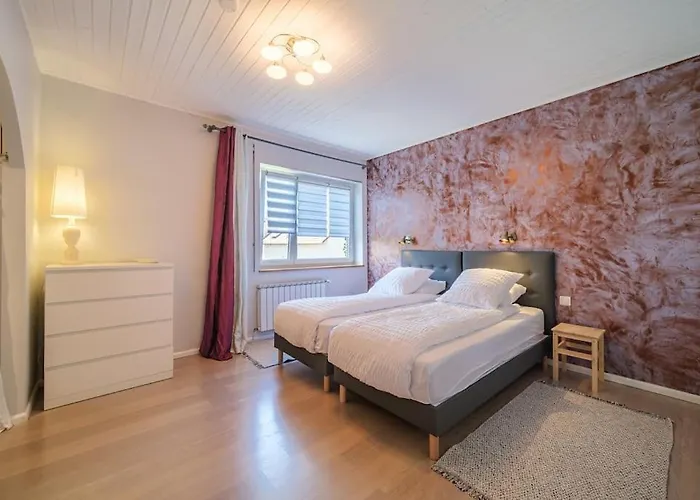 Cosy In South Alsace For Work And Leisure