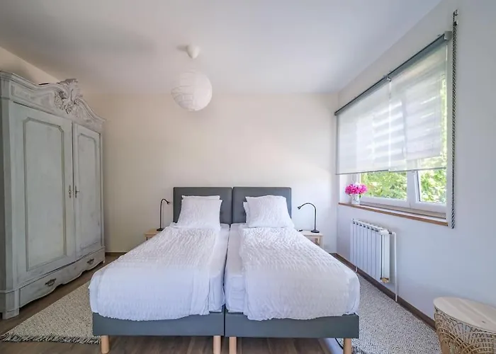 Cosy In South Alsace For Work And Leisure